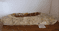 Super Sized  Petrified Wood Wash basin approx  104 cm x  43 cm x  19 cm (LF.20.06.001)